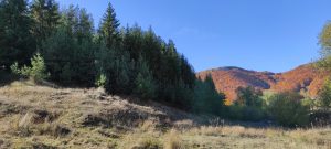 IMG_20211024_104129