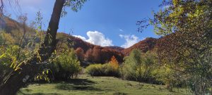 IMG_20211024_113249