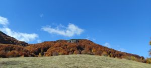 IMG_20211024_113631