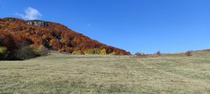 IMG_20211024_113838
