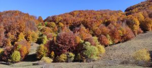 IMG_20211024_115820