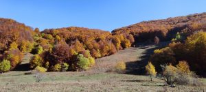 IMG_20211024_115837