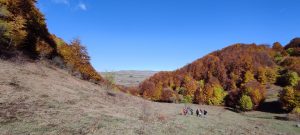 IMG_20211024_115842