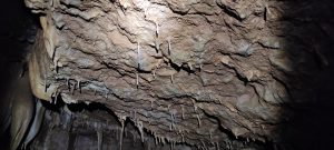 IMG_20211024_140444
