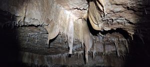 IMG_20211024_140447
