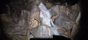 IMG_20211024_140534