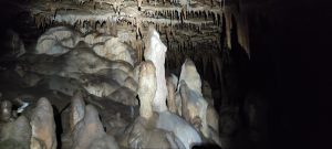 IMG_20211024_140538