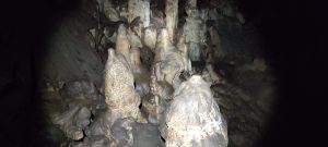 IMG_20211024_140809