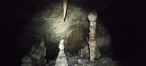 IMG_20211024_141208