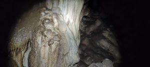 IMG_20211024_141440