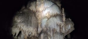 IMG_20211024_141443
