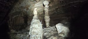 IMG_20211024_141501