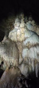 IMG_20211024_141517