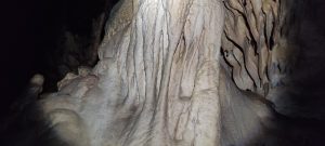IMG_20211024_142130