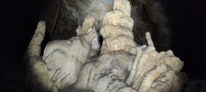 IMG_20211024_142142