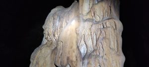 IMG_20211024_142220