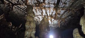 IMG_20211024_142250
