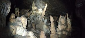IMG_20211024_142425
