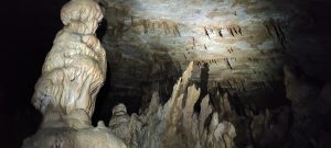 IMG_20211024_142520