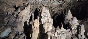 IMG_20211024_142659