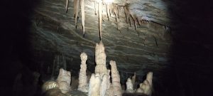 IMG_20211024_142802