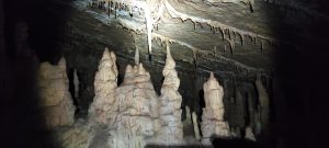 IMG_20211024_143217