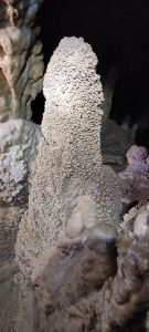 IMG_20211024_143725