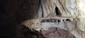 IMG_20211024_143839