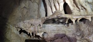 IMG_20211024_143842