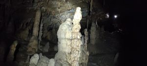 IMG_20211024_143859