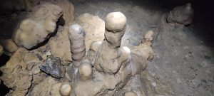 IMG_20211024_144946