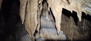 IMG_20211024_145310