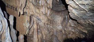 IMG_20211024_145806