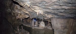 IMG_20211024_145813