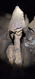 IMG_20211024_152157