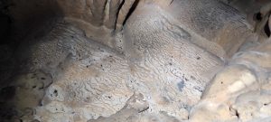 IMG_20211024_152844