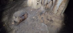 IMG_20211024_152955